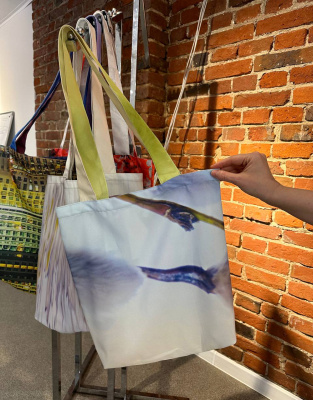 8d65f2b1-9795-4f61-b583-e23356936439